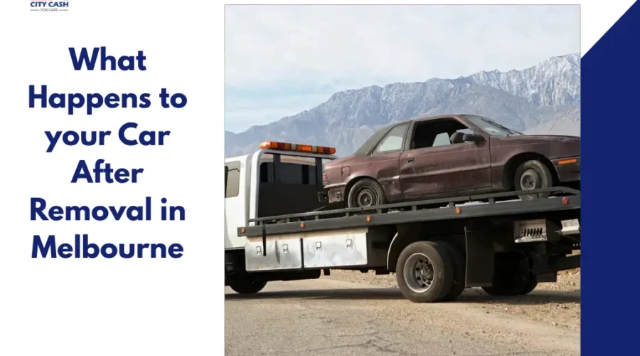 Free car removal service in Melbourne towing an old damaged car on a flatbed truck with mountains in the background and informational text about car removal.